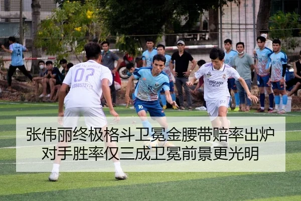 zhang-wei-li-zhong-ji-ge-dou-wei-mian-jin-yao-dai-pei-lv-chu-lu-dui-shou-sheng-lv-jin-san-cheng-wei-mian-qian-jing-geng-2-861.jpg
